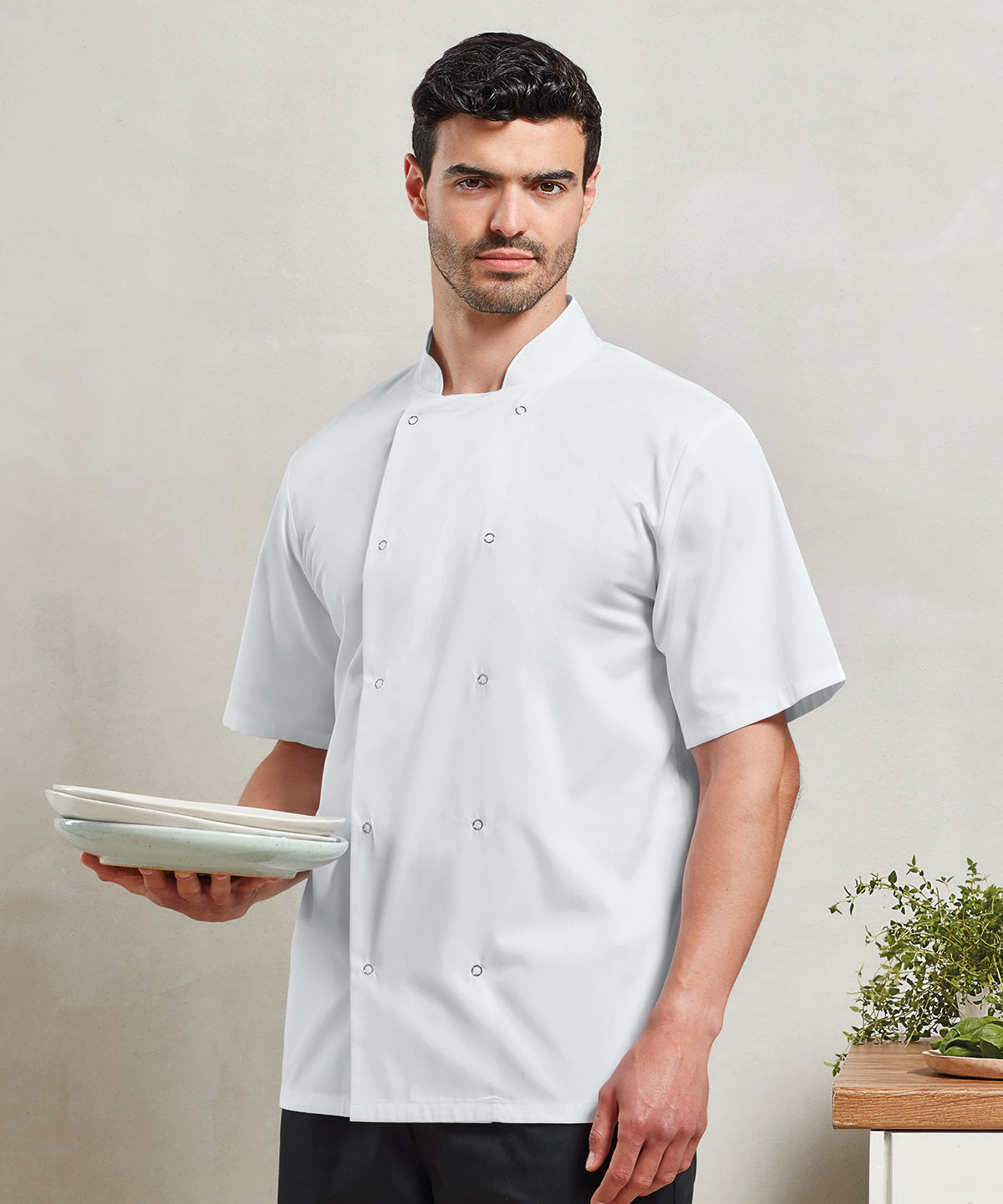 Studded Front Short Sleeve Chef's Jacket in Classic Colors and Multiple Sizes